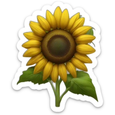 sunflower on dark background sticker