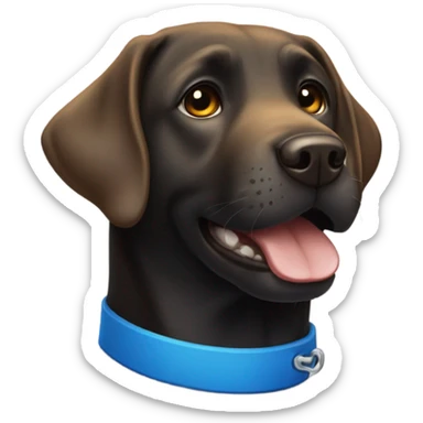 Black Labrador with a blue collar with his teeth put sticker
