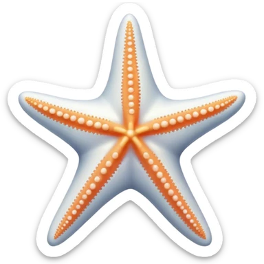 white starfish sticker