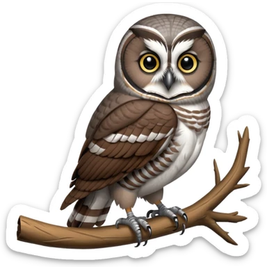 Northern Hawk-Owl Forest sticker