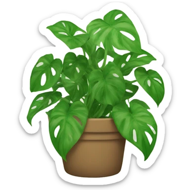 Pothos sticker