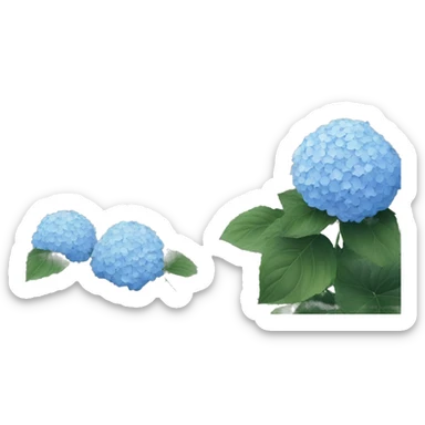 hydrangea in front of gray house  sticker