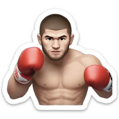 khabib nurmagomedov boxing  sticker