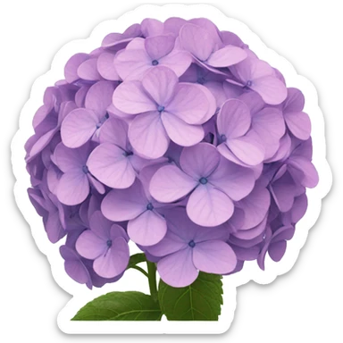 Hydrangeas sticker