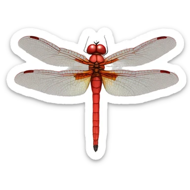 Red dragonfly sticker