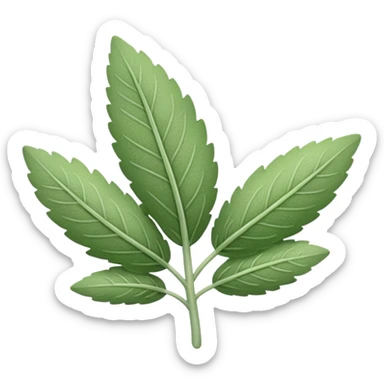 One little leaf of sage sticker