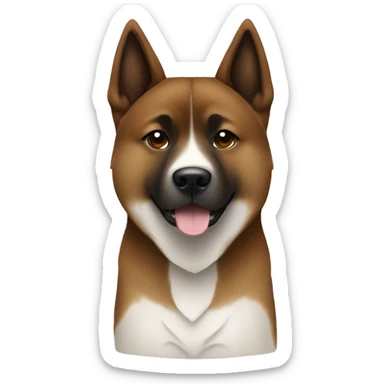 Brown Fully Brindle Akita Inu skinny with no white sticker