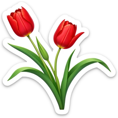Beautiful tulip flower with vibrant petals and green stem sticker