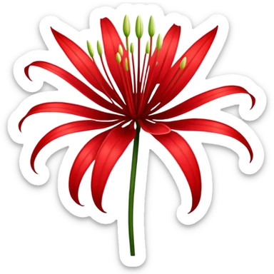 red spider lily sticker