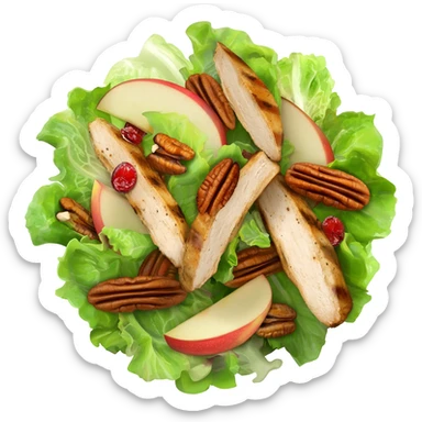 Salad with pecans, grilled chicken, dried cranberries, and apples made with iceberg lettuce sticker