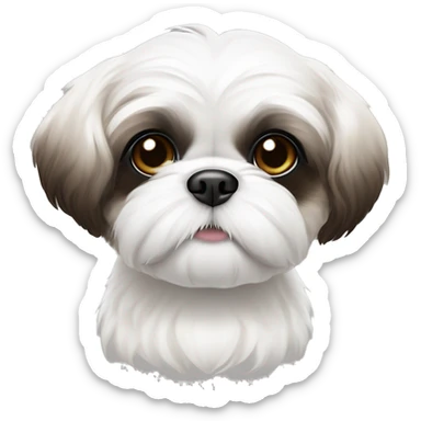 All white Shih tzu puppy with R eye brown and brown ears and black tips of ear sticker
