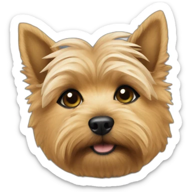 Norwich terrier with white eyebrows wearing sweater sticker