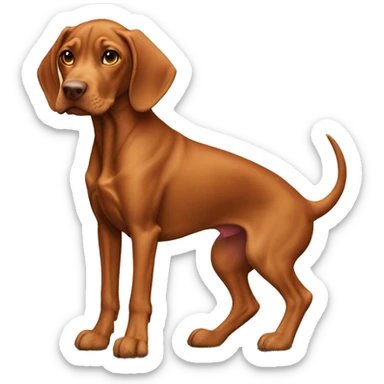 Vizsla on dragon’s back sticker