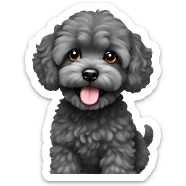 Charcoal gray maltipoo sticker