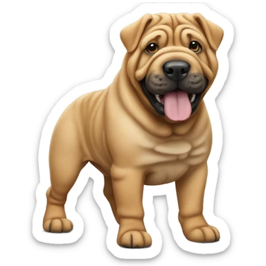 Sharpei dog  sticker
