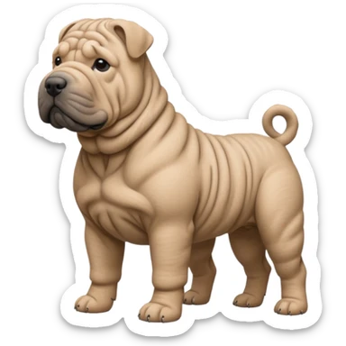 Grey shar pei standing sticker