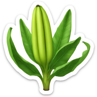 Planta de platano verde sticker