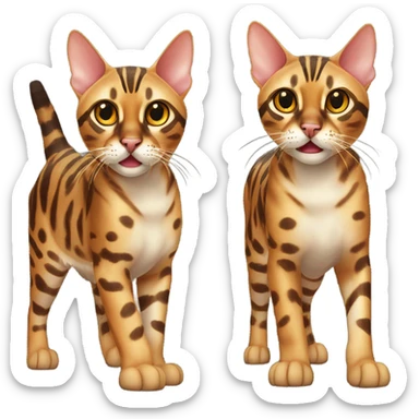 Bengal cat screaming sticker