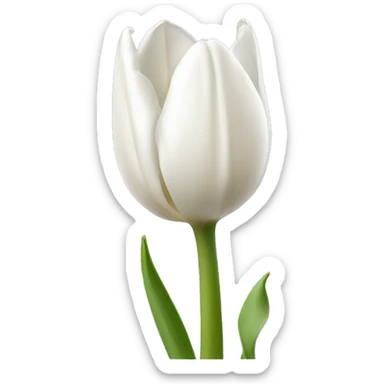 white tulip sticker