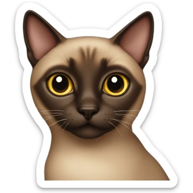Dark Brown Siamese cat sticker