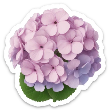 hortensia sticker