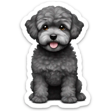 Charcoal gray maltipoo sticker