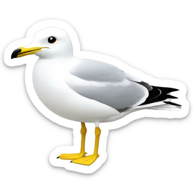 sinegull white sticker