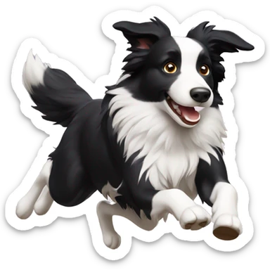 Border collie running agility  sticker