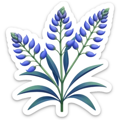 Realistic Still life detailed, blue Lupine Lupinus sticker