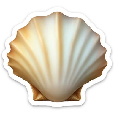sea shell sticker