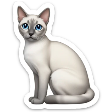 Blue Tabby Point siamese cat please sticker