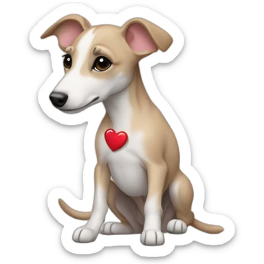 beige whippet puppy with heart sticker