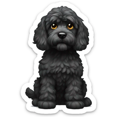 Black cockapoo full body with white flash on chest  sticker