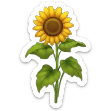 Sunflowers with a bow sticker