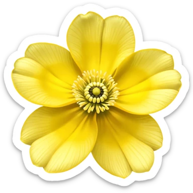 five leaved yellow anemone sticker