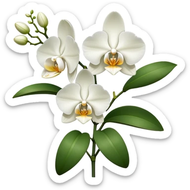 Single elegant orchid stem with several blooms on one stalk and a few green leaves at the base sticker