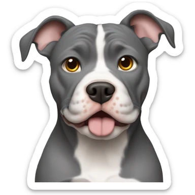 Grey pitbull Planung with a Maine Coon sticker