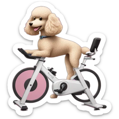 Poodle on a spin bike sticker