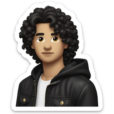 Conan Gray is an American singer-songwriter and former YouTuber.  dark hair, long short rockstar light skin  sticker