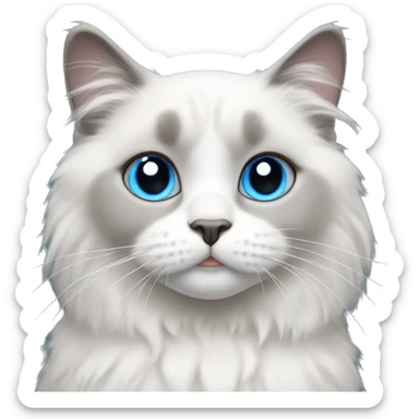 Grey full face & white ragdoll cat blue eyes sticker
