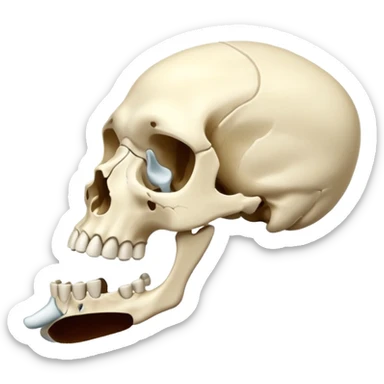 jaw bone sticker