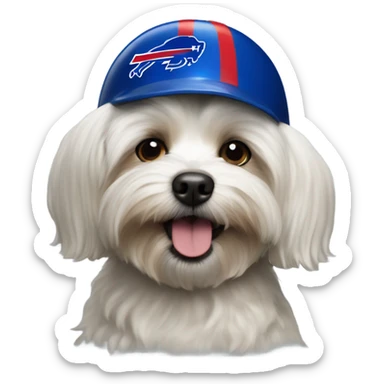 Havanese dog wearing a Buffalo Bills helmet  sticker