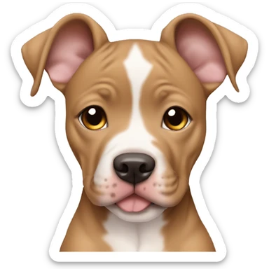 Cute light brown Pitbull puppy with grey eyes sticker