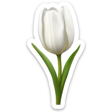 white tulips sticker