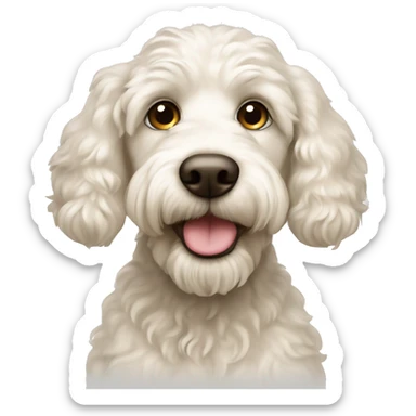 White labradoodle with beige ears sticker