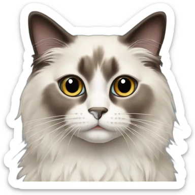 ragdoll cat with dark face sticker
