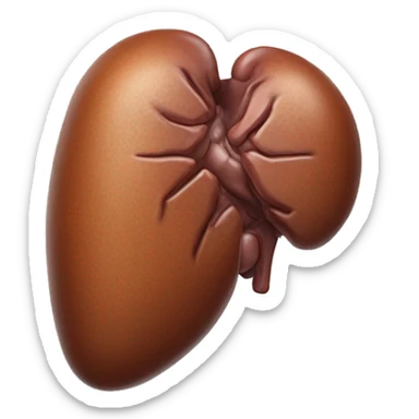 “A realistic image of a human liver, showing its smooth, reddish-brown texture, with clear anatomical details, and subtle shading to highlight its shape and depth.” sticker