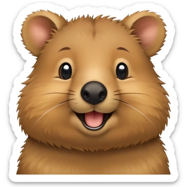 With a quokka  sticker