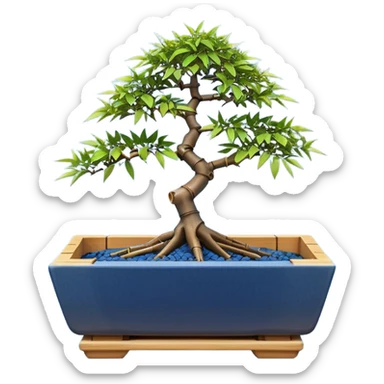 Japanese broken trapezoidal-shaped shallow dark bamboo blue maple tree bonsai pot sticker