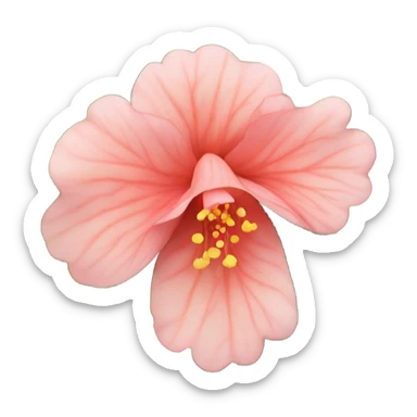 Begonia flower plant  sticker
